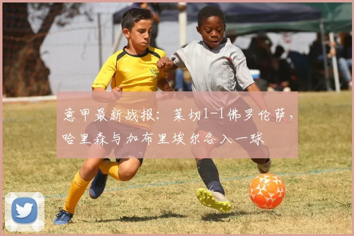 意甲最新战报：莱切1-1佛罗伦萨，哈里森与加布里埃尔各入一球