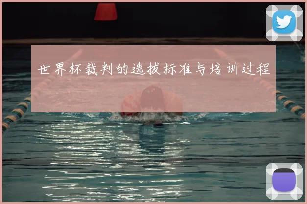 世界杯裁判的选拔标准与培训过程