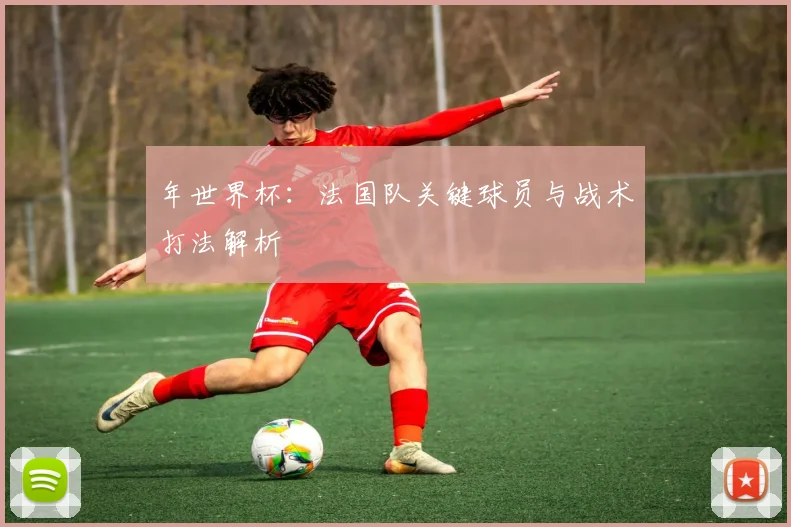 年世界杯：法国队关键球员与战术打法解析